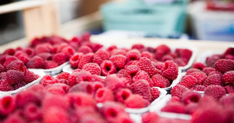 Quels sont les jours de marché à Barcelone ?