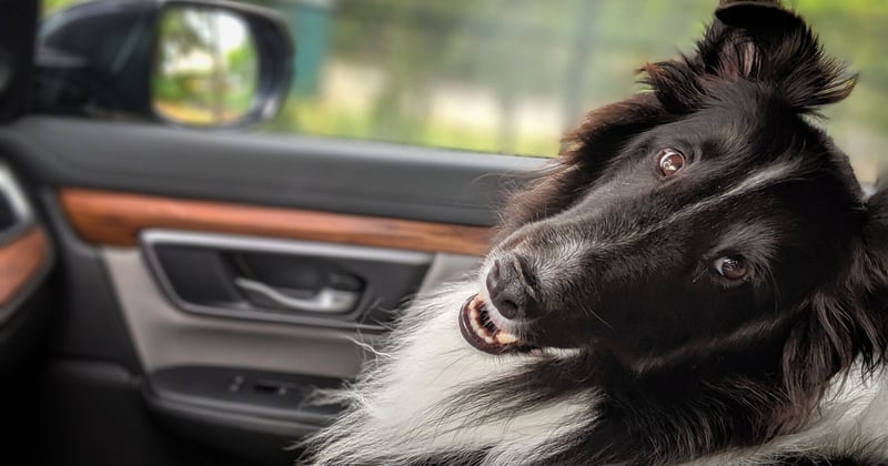 Votre premier road trip sans stress : le guide complet pour réussir votre aventure
