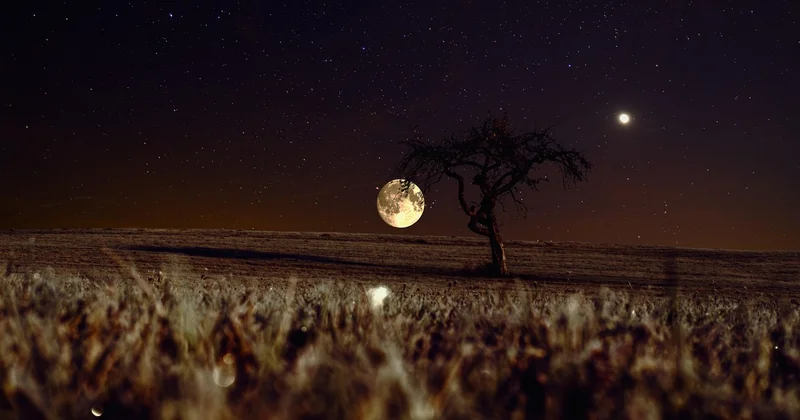 Quand partir : la meilleure période (et le piège de la lune)